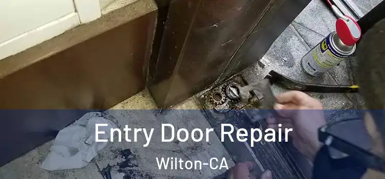  Entry Door Repair Wilton-CA