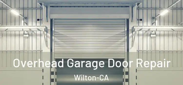  Overhead Garage Door Repair Wilton-CA