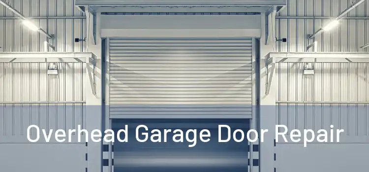  Overhead Garage Door Repair 